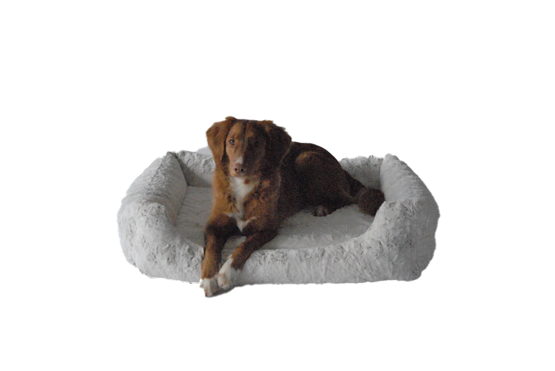Hundebett "Frost Braun Premium"