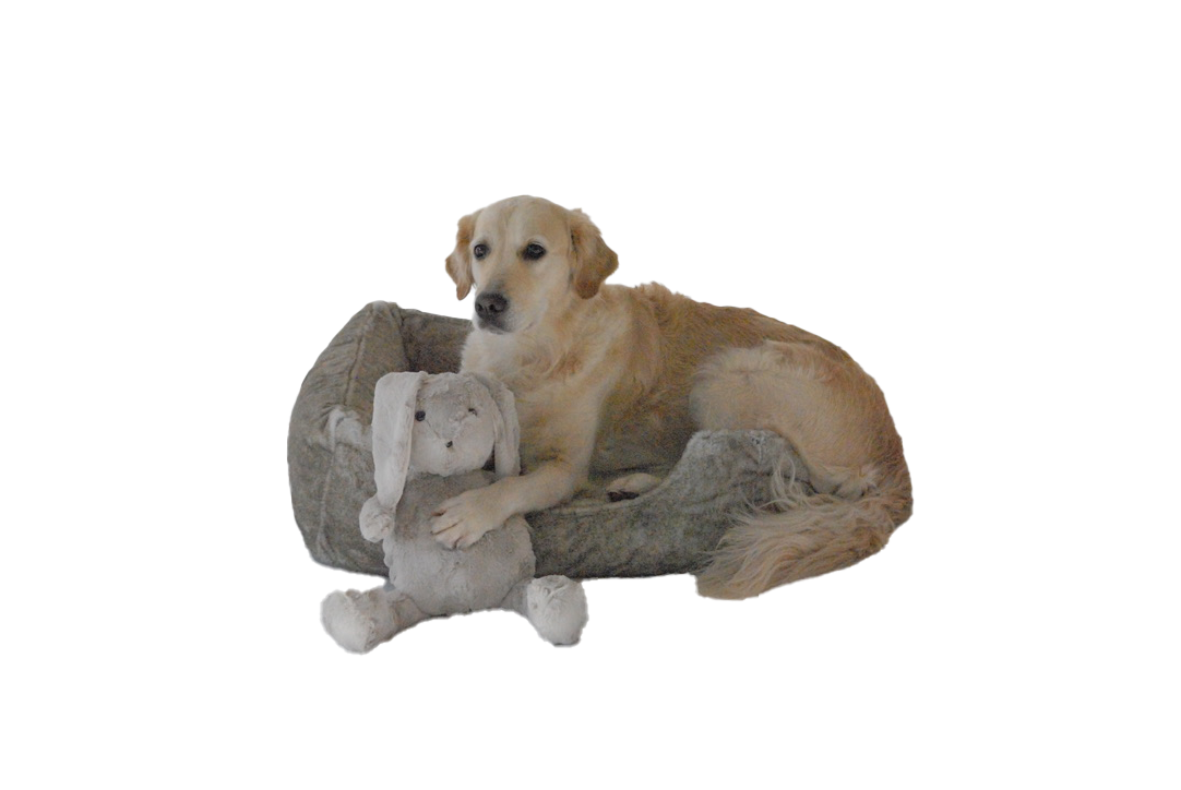 Hundebett "Kaninchen Beige Premium"