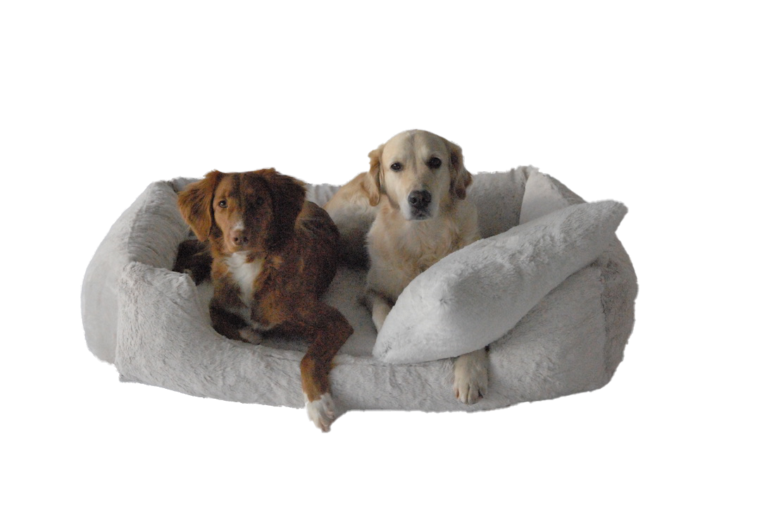 Hundebett "Seal Flair Brown Premium"