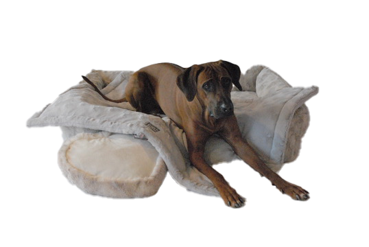Hundedecke "Teddy Jade Premium"