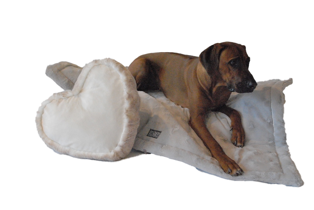 Hundedecke "Teddy Silber Premium"